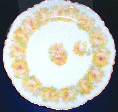 Schleiger 55-15 by Haviland