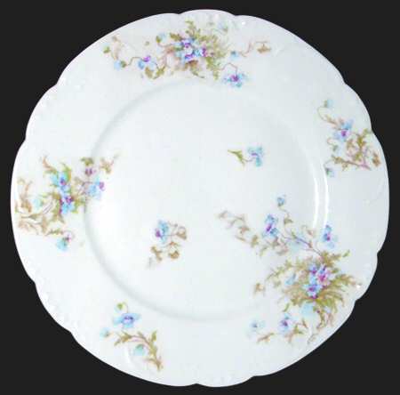 Schleiger 147-9 by Haviland