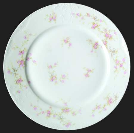 Schleiger 161-8 by Haviland
