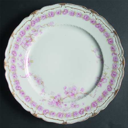Schleiger 248-8 by Haviland
