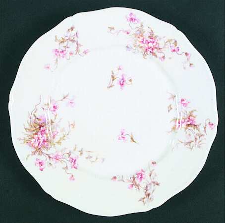 Schleiger 147-10 by Haviland