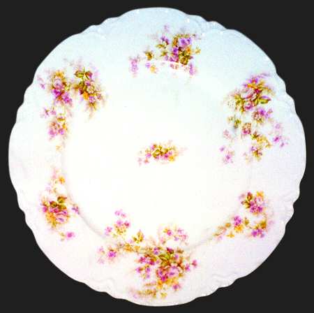 Schleiger 1149-1 by Haviland