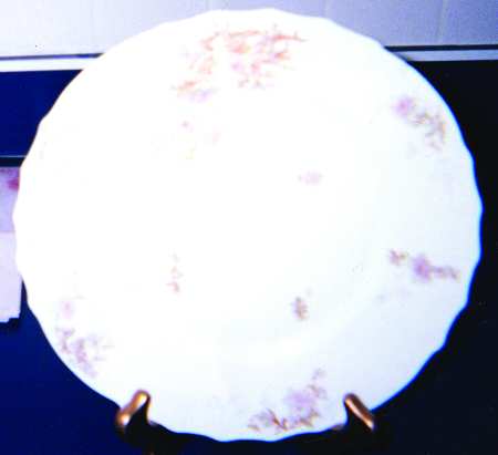 Schleiger 160D by Haviland