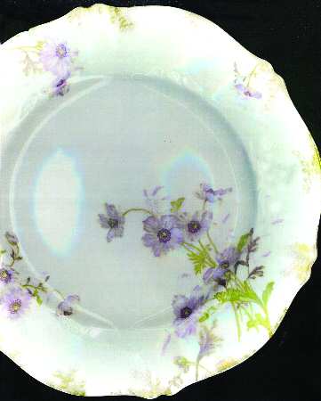 Schleiger 1039-1 by Haviland