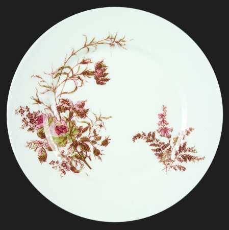 Schleiger 77-9 by Haviland