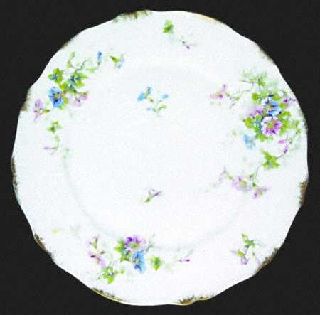 Schleiger 333-8 by Haviland