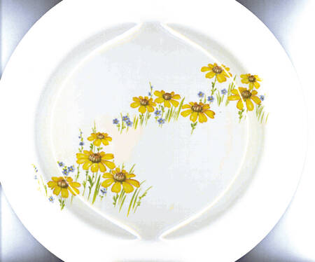 Daisy Field by Homer Laughlin 