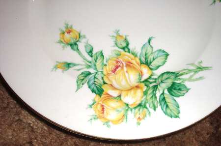 HC919 Dinner Plate