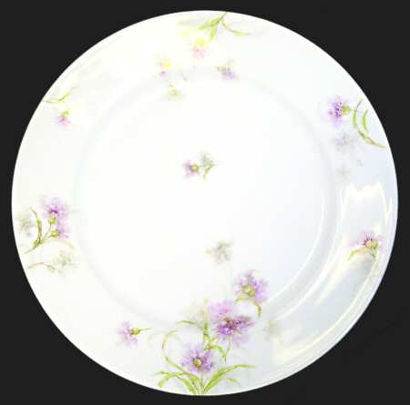 Schleiger 1035-5 by Haviland