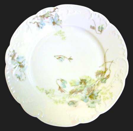 Schleiger 54-11 by Haviland