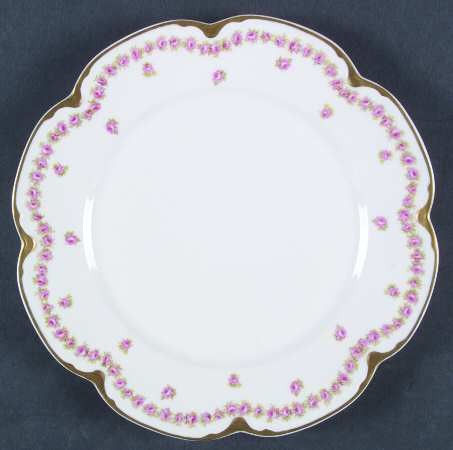 Schleiger 873-2 by Haviland