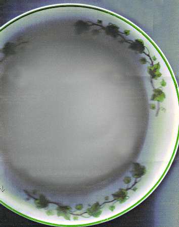 Ivy Dinner Plate
