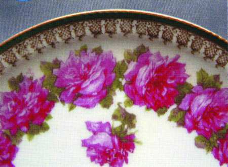Schleiger 55-17 by Haviland