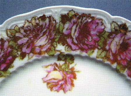 Schleiger 55-19 by Haviland