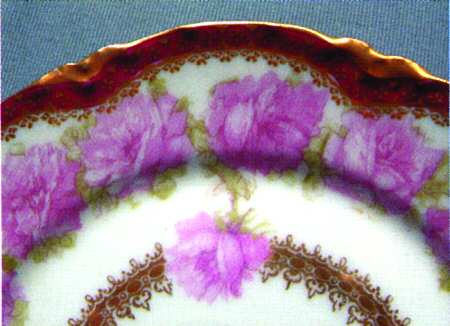 Schleiger 55-20 by Haviland