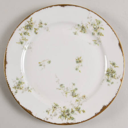 Schleiger 150-14 by Haviland