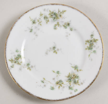 Schleiger 150-14 Bread & Butter Plate by Haviland