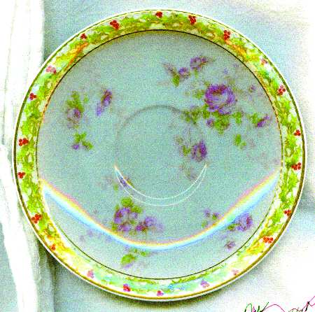 Schleiger 49-5 by Haviland