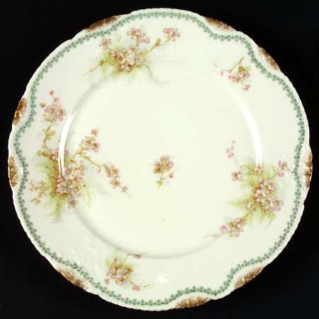 Schleiger 609-3 by Haviland