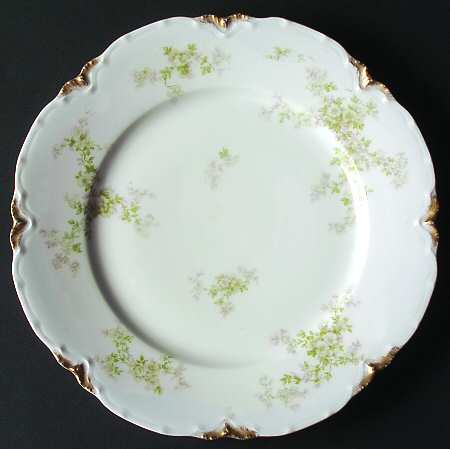Schleiger 67-4 by Haviland
