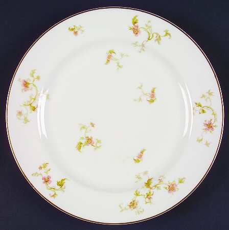 Schleiger 905-3 by Haviland