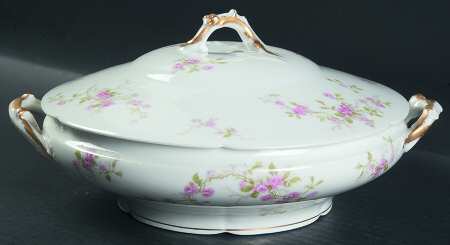 Schleiger 321-7 by Haviland