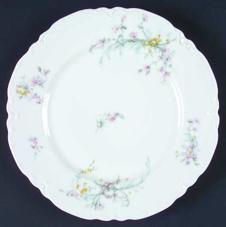 Schleiger 78-9 by Haviland