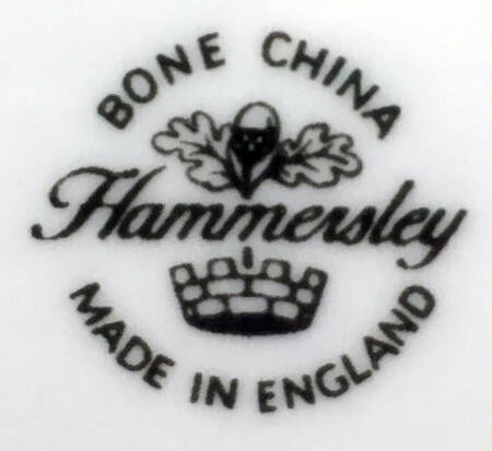 HAM95 Mug