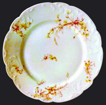 Schleiger 78-10 by Haviland