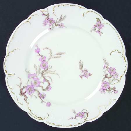 Schleiger 222-5 by Haviland