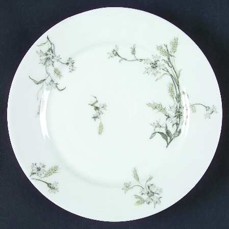 Schleiger 73-7 by Haviland