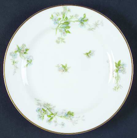 Schleiger 467-1 by Haviland