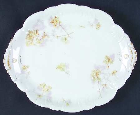 Schleiger 83-3 by Haviland