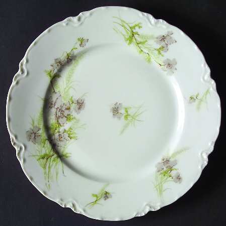 Schleiger 254-5 by Haviland