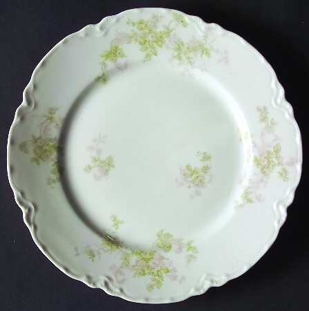 Schleiger 228-3 by Haviland
