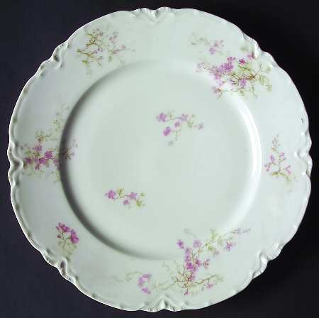 Schleiger 251-5 by Haviland