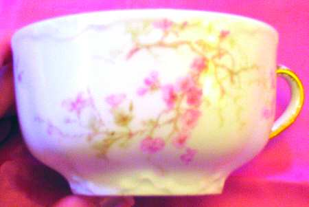 Schleiger 251-5 Flat Cup