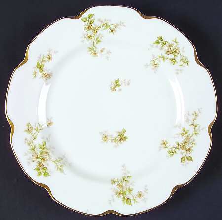 Schleiger 230-3 by Haviland