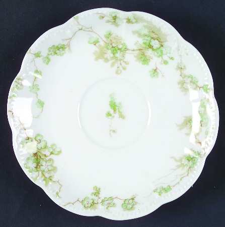 Schleiger 248-9 by Haviland