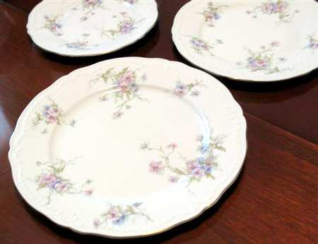 Schleiger 156-8 by Haviland