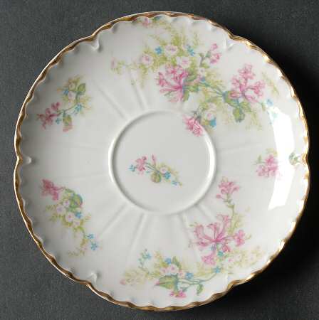 Schleiger 900-2 Saucer