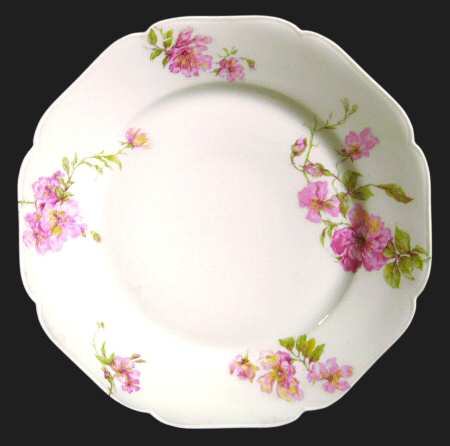Schleiger 59-3 by Haviland
