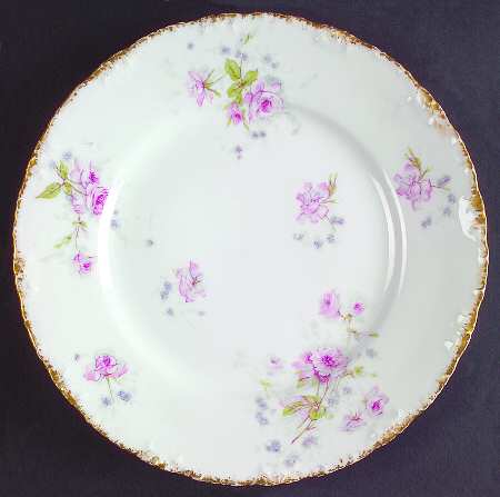 Schleiger 1015-8 by Haviland