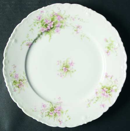Schleiger 157-17 by Haviland