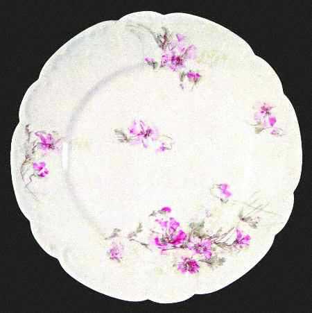 Schleiger 54-12 by Haviland
