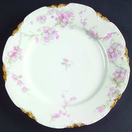Schleiger 248-10 by Haviland