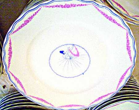 H3404 Salad Plate