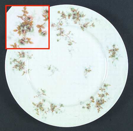 Schleiger 150-16 by Haviland