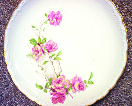 Schleiger 1151-12 by Haviland