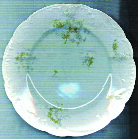 Schleiger 1169-2 Salad Plate